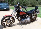 1982 Harley-Davidson FXSB 1340 Low Rider photo